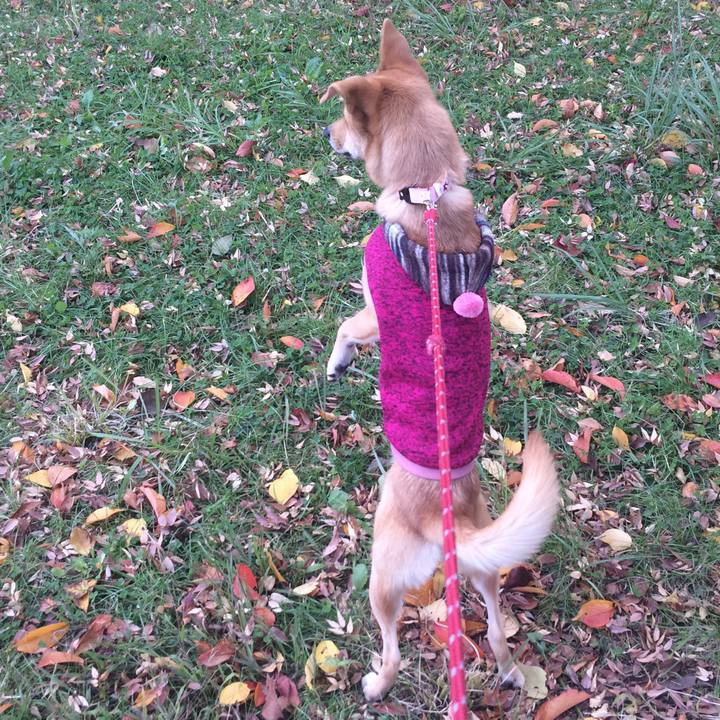 50df442b 2140 4823 810d 26be453b3487