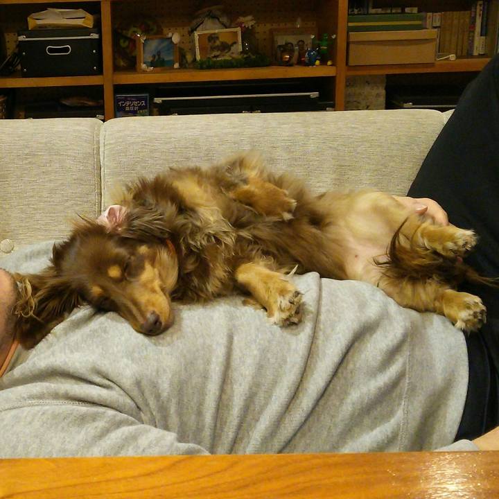 50df7198 06f8 438b a209 74ab5fac66ef