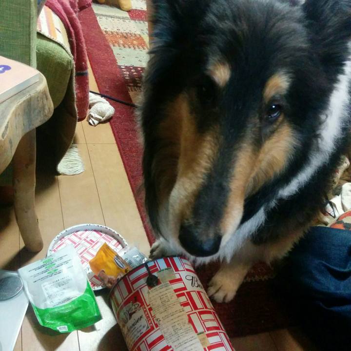 50df9839 a5bc 415d bbfc c8f3d5abea2b