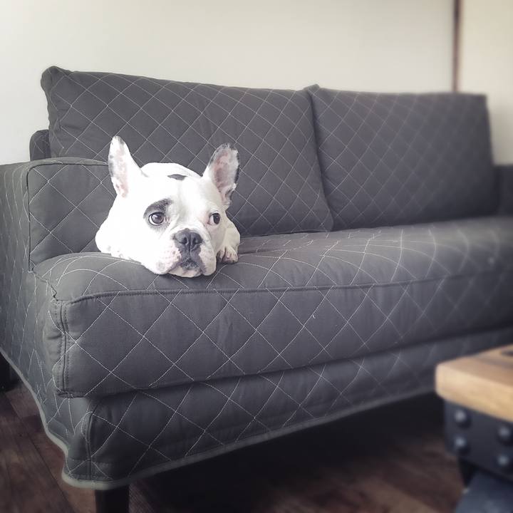 50dff366 b539 44d9 a693 4973cf906690