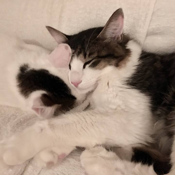 50e002a5 36e3 4590 bf0d 3191df35c02e