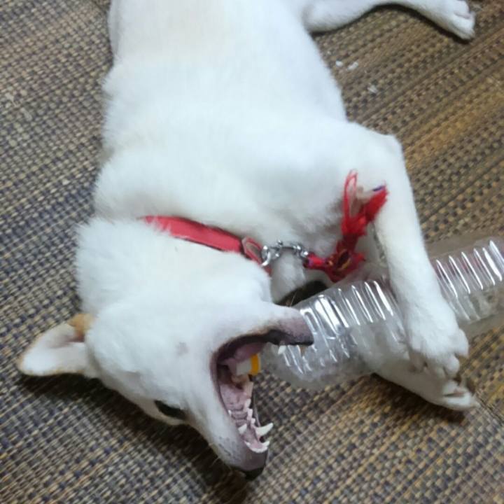 50e0c84d cbc7 402f 9f20 7c50315b9f77