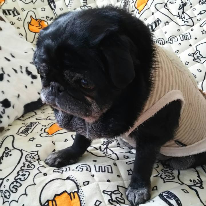 50e1d0c3 4620 485d 97e0 07621d41494f