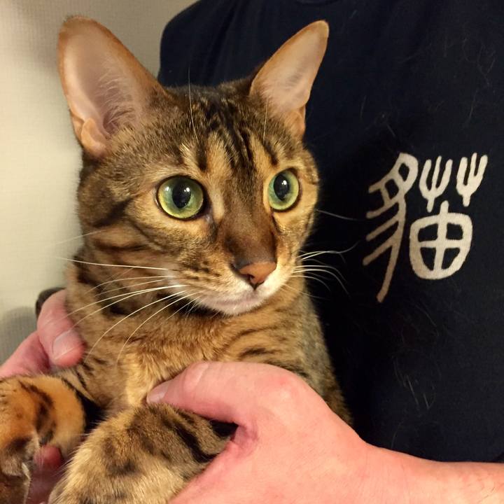 50e2aa23 9979 4817 ac91 9fd67797a05c