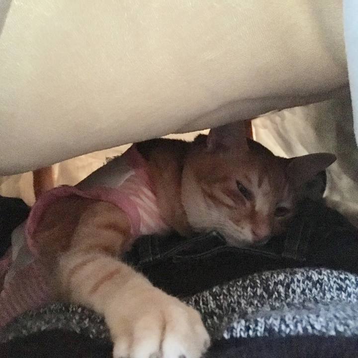 50e312c1 3ed9 493d a12b 177c1388d804