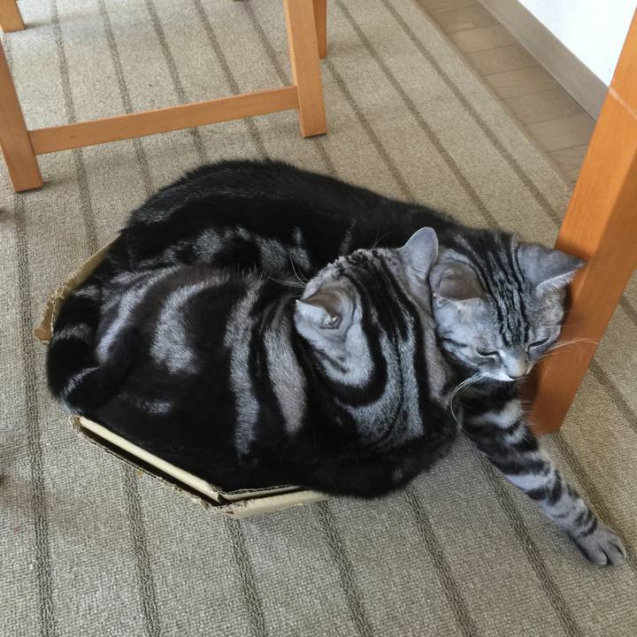 50e34452 89de 4343 9467 e41b8e68c74c