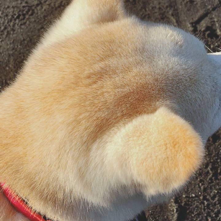 50e54827 796a 495c bbde 652c493cff61