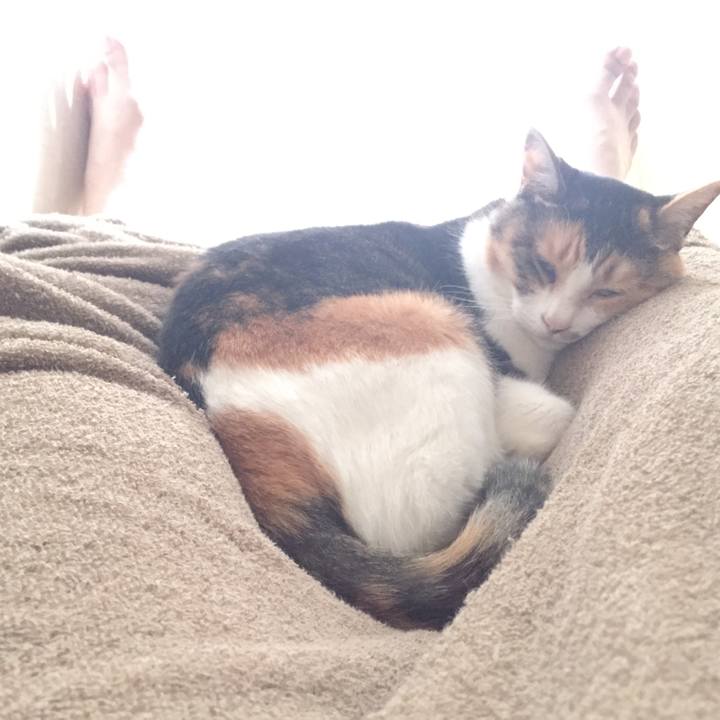 50e555db 0113 49f2 ab4a 32bb0d49f43a