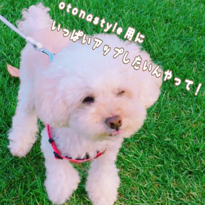 50e582e3 c249 4e46 a63d 8b60b918bb2c