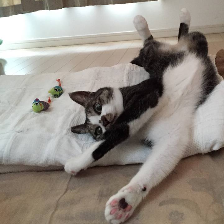 50e5acfa 62f4 4741 9567 9b12acb0d4b2