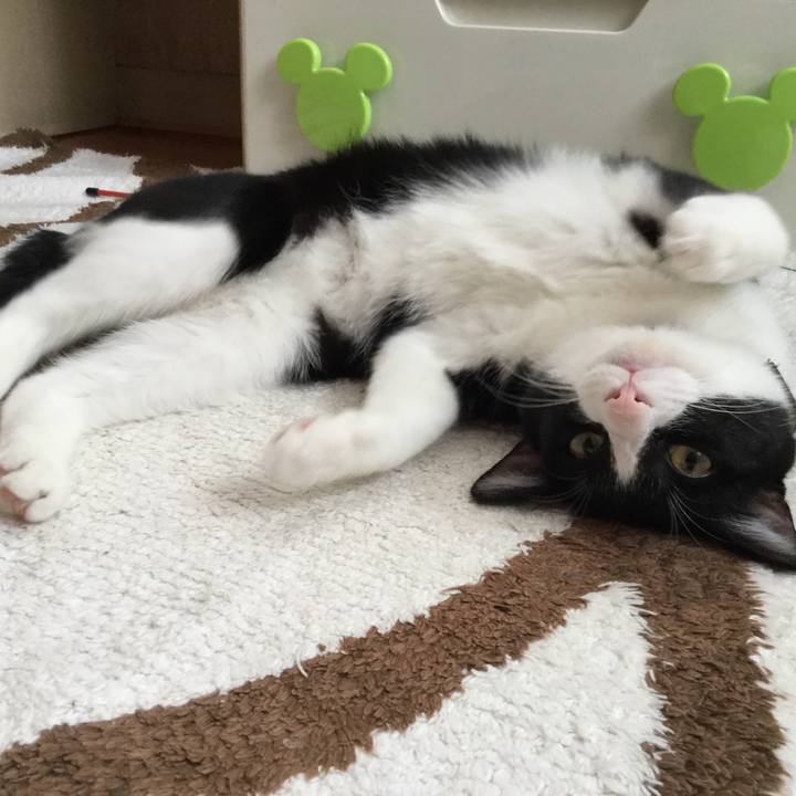 50e60f82 01ea 4138 8900 9f27fdbb9d55