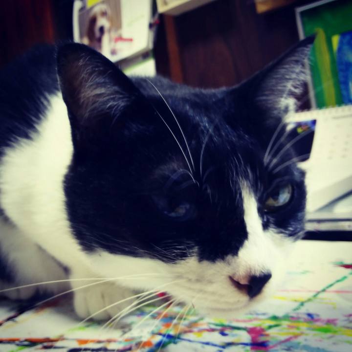 50e63ef0 4971 4f5d 8387 05ec1bcf0f16