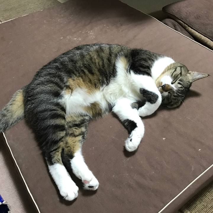 50e6b3b2 735f 4c4b a114 8cf164458c63