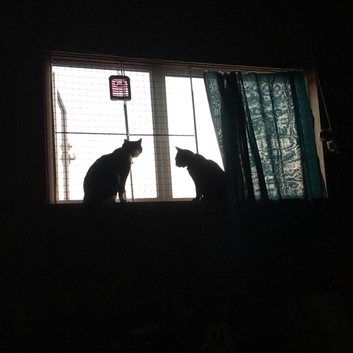 50e771e3 9e37 4da0 b456 053db93affcd