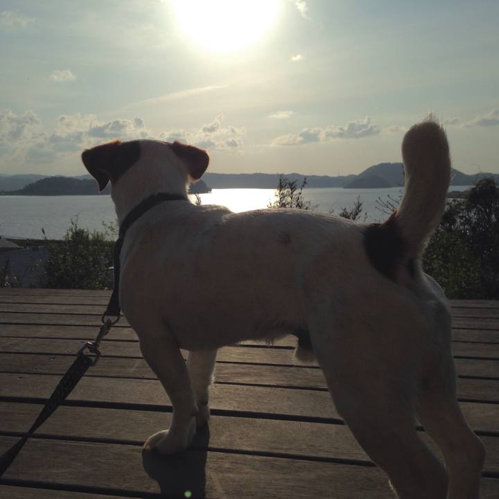 50e7b63f 3c3b 48f1 9233 bf0114ca48b8