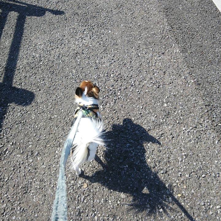 50e85119 f3c1 497a 9ce9 950c1f6e37d1