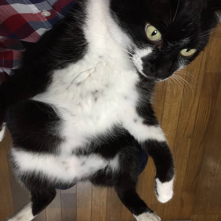 50e8d5ec 94f7 42b0 b6fd cf516b010170