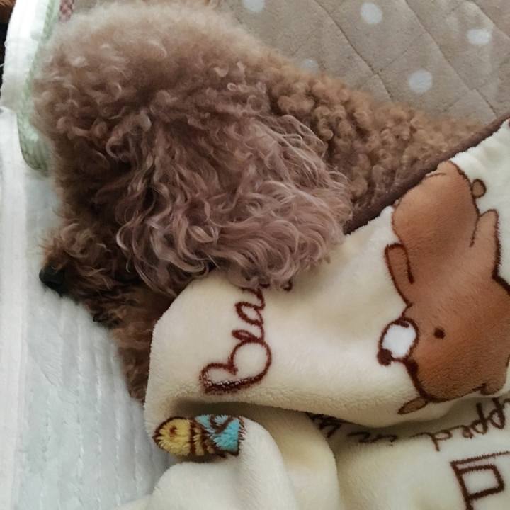 50e8fa3e 11c4 48a1 91f8 22625ce7f500