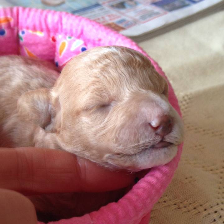 50e95a12 1525 4081 bee0 deb2da93d934