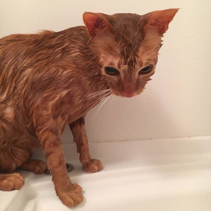 50e979c2 6cf8 4ea3 b9ec 7125299c38a6