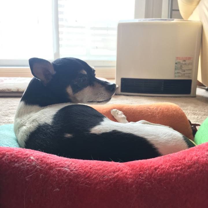 50e9b323 fbf9 451f 9199 d9d6205ba3ff