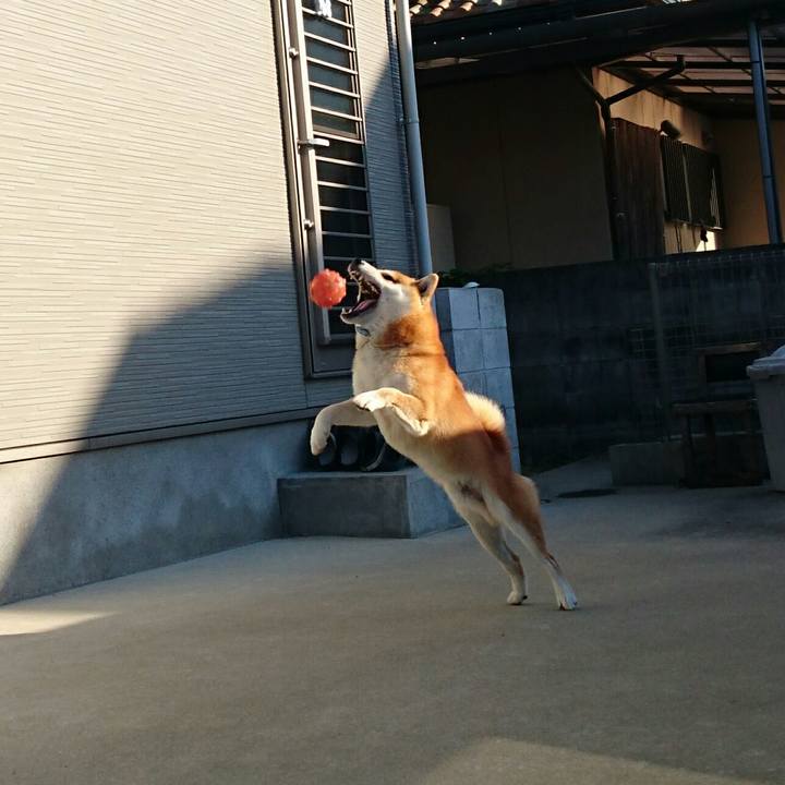 50ea9b9e 7e1c 47f8 9551 e90b7d2a26ec