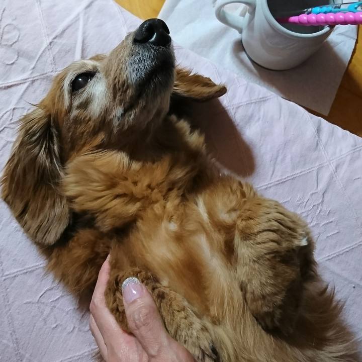 50eab69f 91c5 4d2d 81e0 6f0b05f1a113