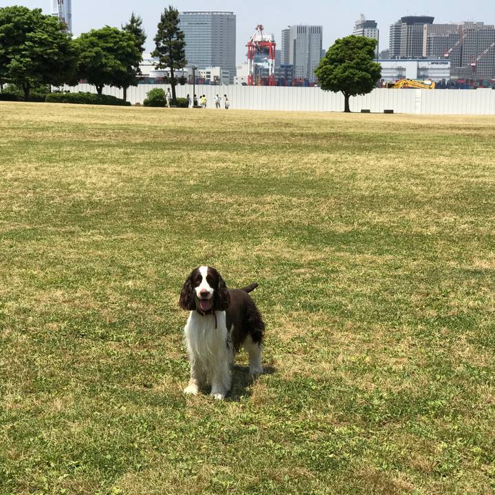 50ebe240 0f61 40a6 8295 b53db3cfaf9a