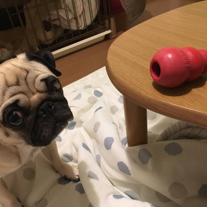 50ec5c54 345e 48f6 804e a58b9a2781f6