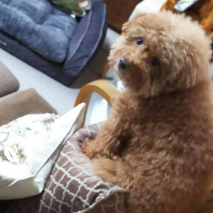 50ec9ca3 22c5 4265 8090 bca84e22380f