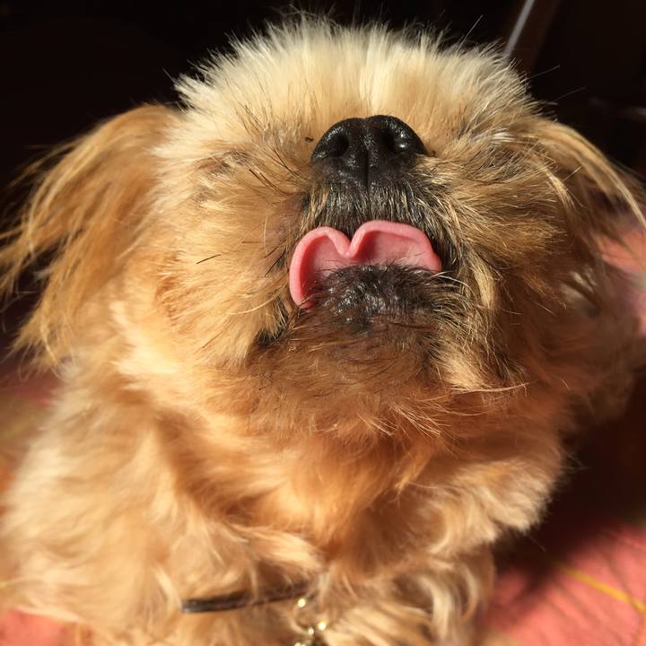 50ed5f73 551c 48f7 8f5e d6056a139d08