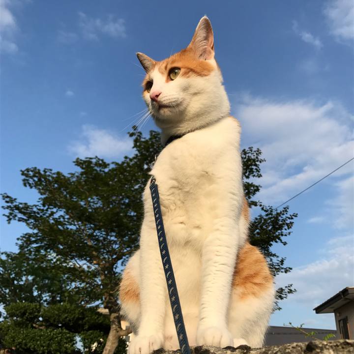 50ee4ddb f1a6 49bc bbb4 961f8c1c4d44