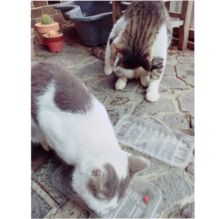 50ee73b4 f861 4d5f a335 ba69ccd27f60