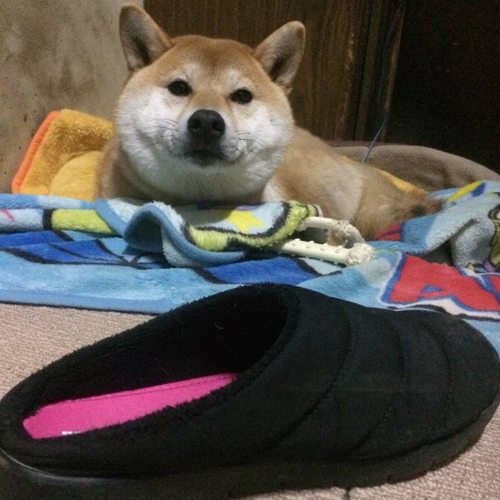 50f02abf 6f7e 40d4 89a7 aa3b525d6a57