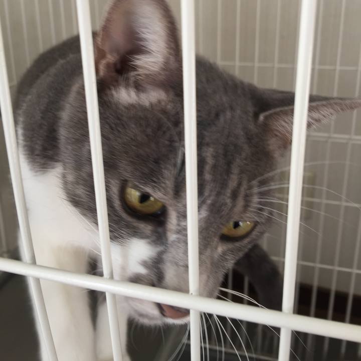 50f08d27 35ca 4518 93fd 4a96e29a8580