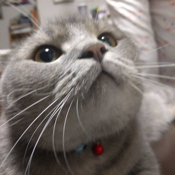 50f10e70 8ffb 4446 a2d1 efb55a6f94c8