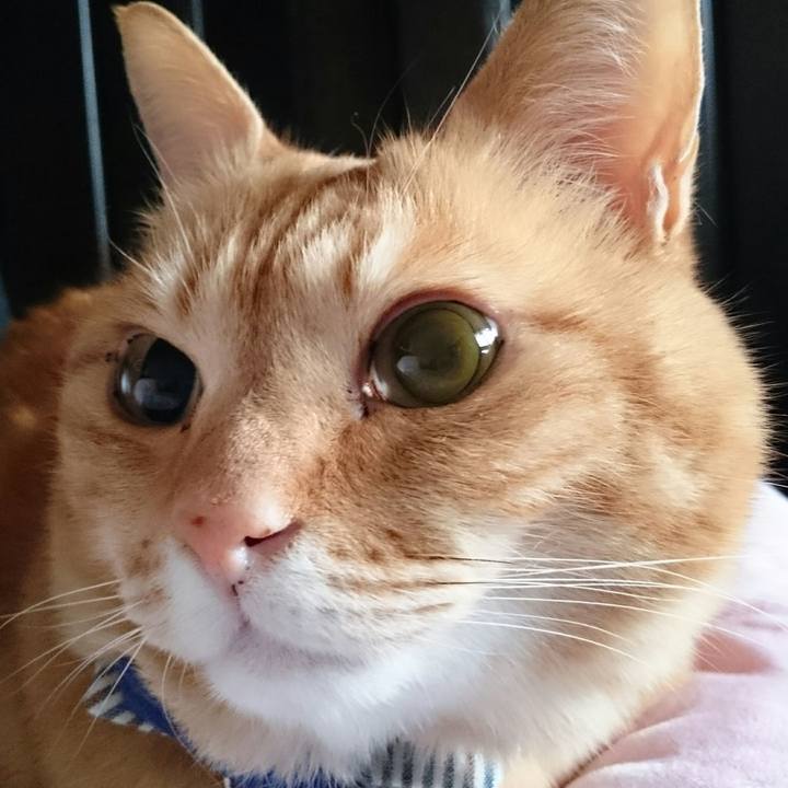 50f1489b a0f2 43b7 9294 d10ffa63951f