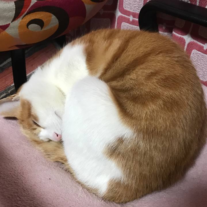 50f14aff c798 4ed4 bdab 92e0102c0462