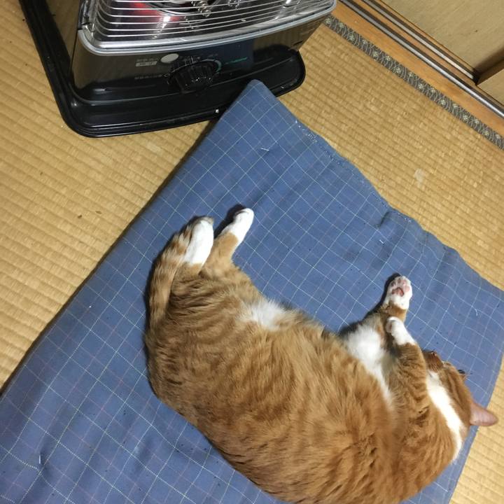 50f1550a d8a5 46b0 ac77 f1508640741e