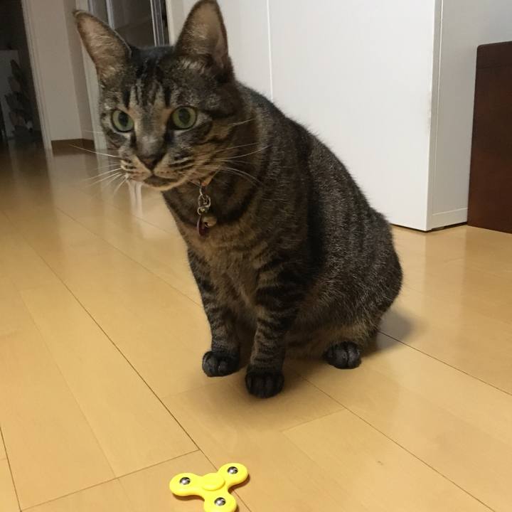 50f1a025 7fe6 44f1 aecd 14ada462ed20