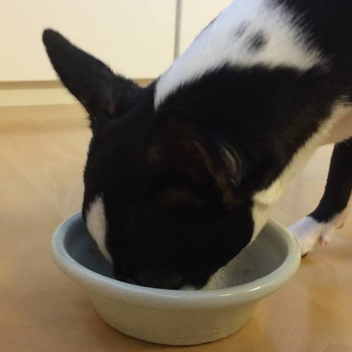 50f1a648 31e0 42ca 9715 2e1dbd23efc7