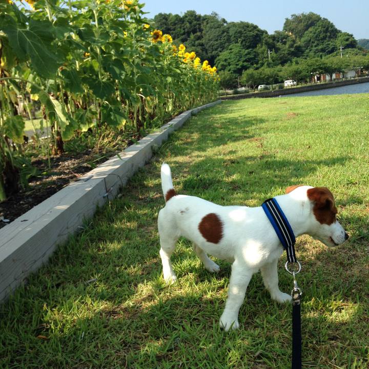 50f23af3 b419 429d b468 fac12f93f6a6