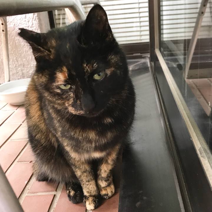 50f25d25 74f9 4e9f 9446 fac2a4fac5d2