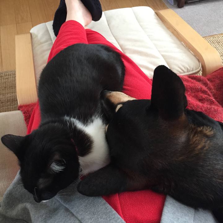 50f2e43e 0e86 44c8 8ec5 6261ccdc0134