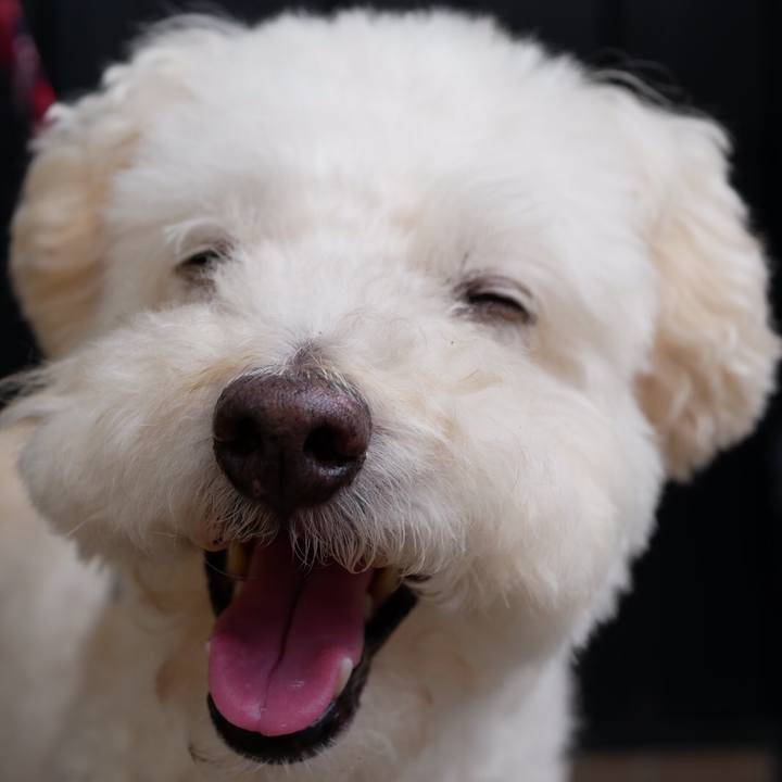 50f428c5 2623 48d7 ac02 1018e02e1070