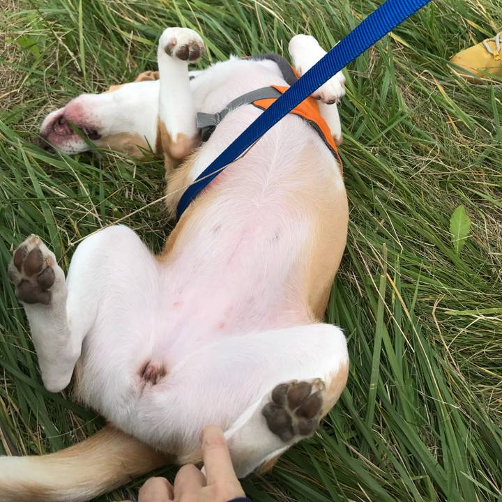 50f4a398 8110 462a a5dd bfb9b4f43c0a