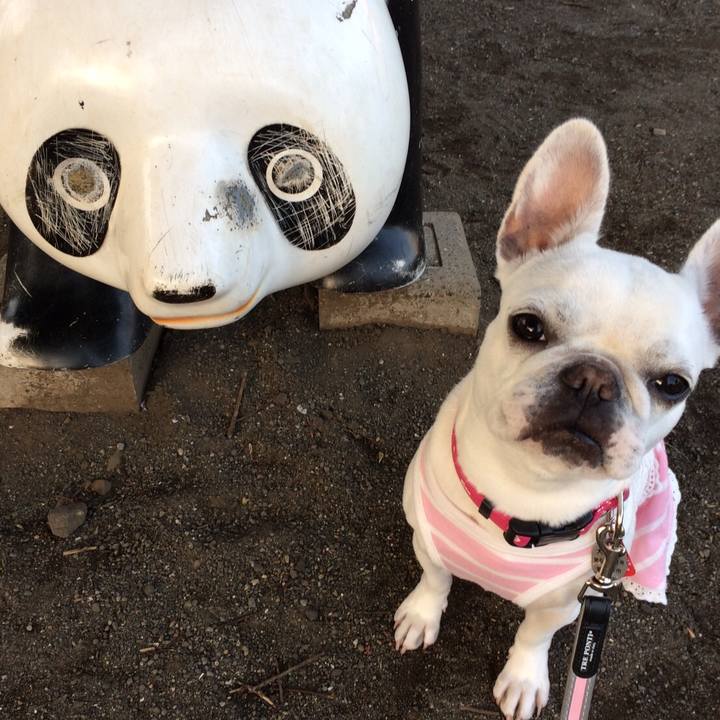 50f4a670 5fc4 4164 99d4 3a6871975ba2