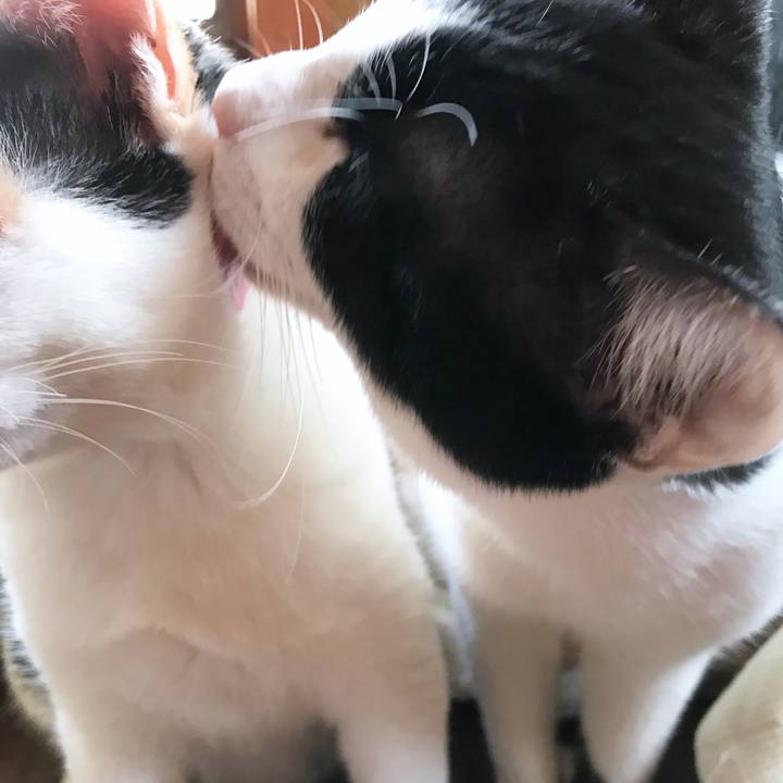 50f53da9 94c8 4241 a4b6 1c4dfbc86911