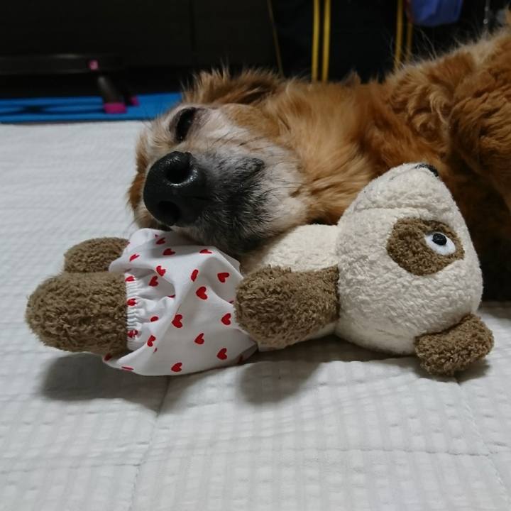 50f54595 c565 481e ac33 4d3eb8c36351