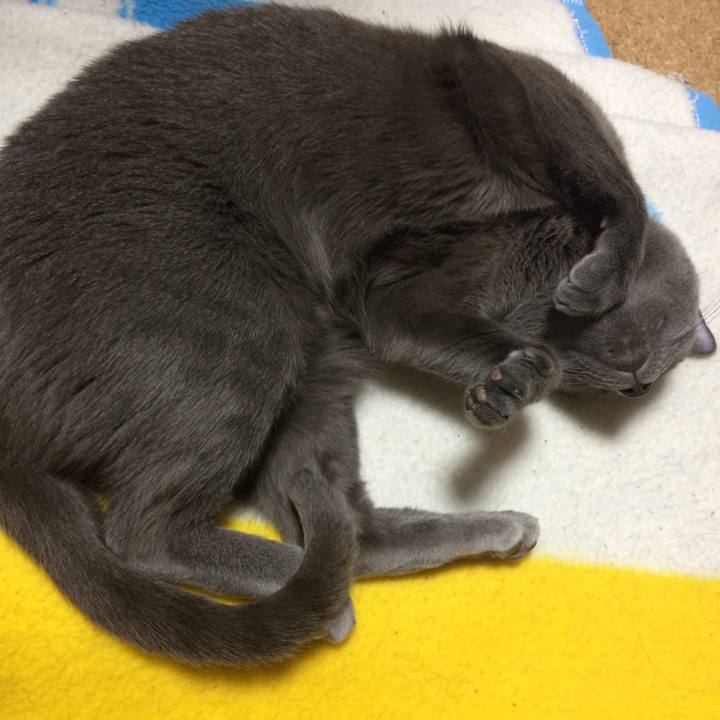 50f5f39a 8836 4094 93fc 3210631c8048